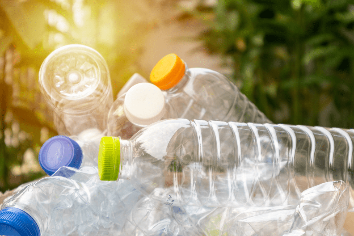 Plastic drink bottles Plastic Bottles for Recycling